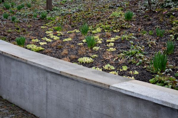Concrete Wall Pouring in Bainbridge Island