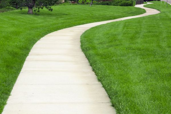 Pathway Replacement in Bainbridge Island