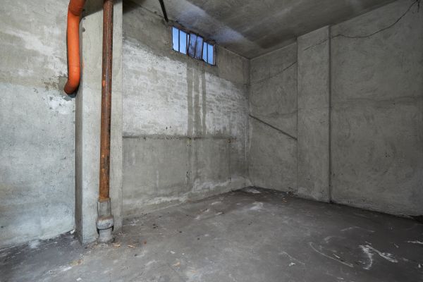 Basement Wall Construction in Bainbridge Island