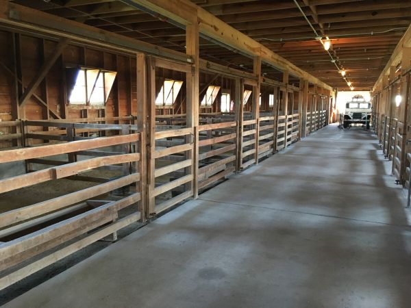 Barn Slab Construction in Bainbridge Island