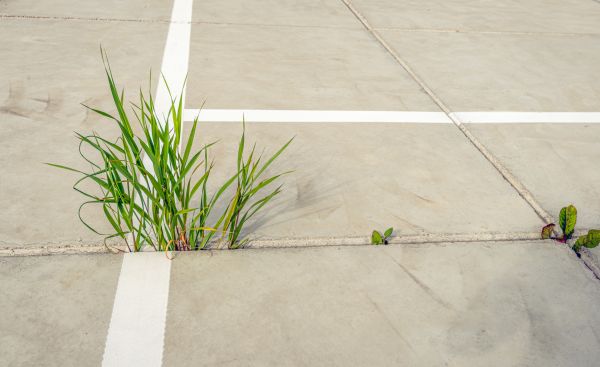 Concrete Parking Installation in Bainbridge Island